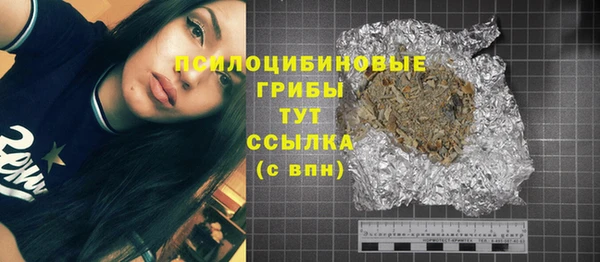 гашик Абаза