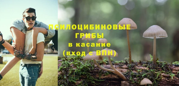 гашик Абаза