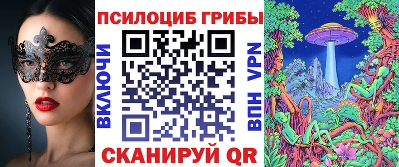 Псилоцибиновые грибы Psilocybe Отрадное