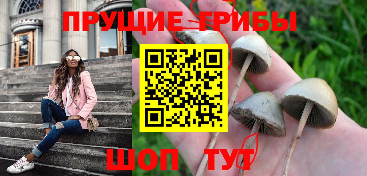 Галлюциногенные грибы MAGIC MUSHROOMS Отрадное