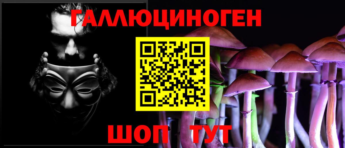 Псилоцибиновые грибы Psilocybe  Вход с VPN  Псилоцибиновые грибы ЛСД  Отрадное 